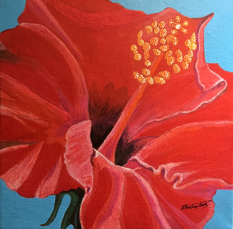 Commande Hibiscus